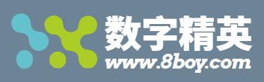 数字精英网络科技 数字精英
